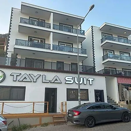 Tayla