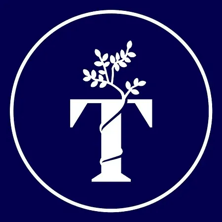 Tayla 카스